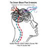 The Smart Brain Pain Syndrome: The Primer for Teens & Young Adults in Pain