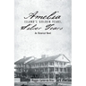 Amelia Island's Golden Years, Silver Tears: An Historical Novel