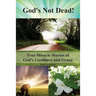 God's Not Dead!: True Miracle Stories of God's Goodness and Grace