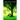 Beyond the Garden