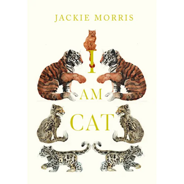 I Am Cat