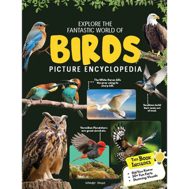 Explore Fantastic World of Birds Picture Encyclopedia