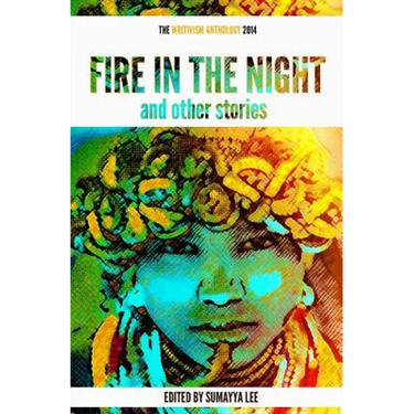 Fire In The Night and Other Stories: The 2014 Writivism Anthology