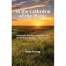 In the Cathedral of the Plains