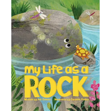 My Life as a Rock