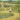 Jack and Lulu Go to the Tree Farm