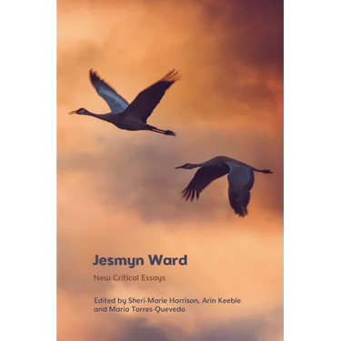 Jesmyn Ward: New Critical Essays