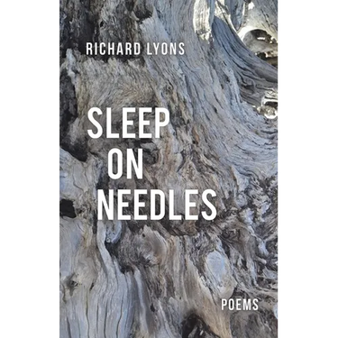 Sleep on Needles