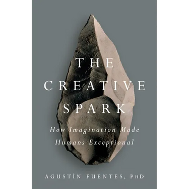 The Creative Spark: How Imagination Made Humans Exceptional
