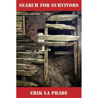 Search for Survivors