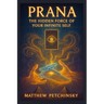 Prana: The Hidden Force of Your Infinite Self