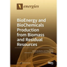 BioEnergy and BioChemicals Production from Biomass and Residual Resources
