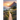Journey to the Forever City