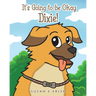 It's Going to be Okay Dixie!