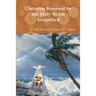 Christian Renewal by the Holy Spirit Simplified