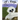 Elf the Eagle
