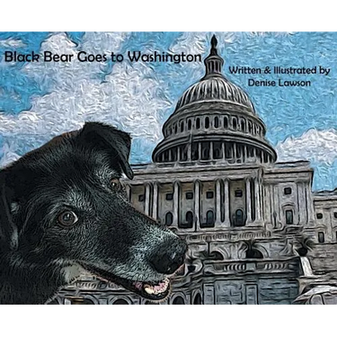 Black Bear Goes to Washington