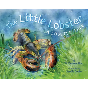 The Little Lobster