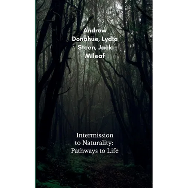 Intermission to Naturality