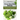 Green Smoothies Bible: The Detox And Cleansing System to Lower Cholesterol and Glucose Levels, keeps You feeling Fuller For Longer, and Regulate Your