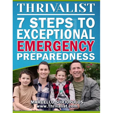 Thrivalist: 7 Steps to Exceptional Emergency Preparedness
