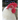 Chicken Scratch