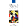 Eu Law and the Welfare State: In Search of Solidarity