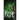 Bones of the Past