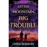 Little Mountain, Big Trouble