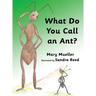 What Do You Call an Ant?