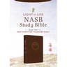 Light for Life NASB Study Bible (Mahogany Lighthouse)