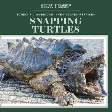 Snapping Turtles