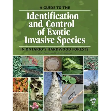 A guide to the identification and control of exotic invasive species in Ontario's hardwood forests
