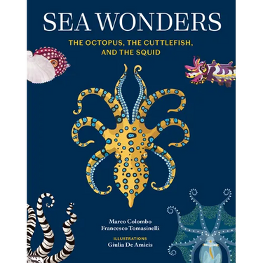 Sea Wonders: The Octopus, the Cuttlefish, and the Squid