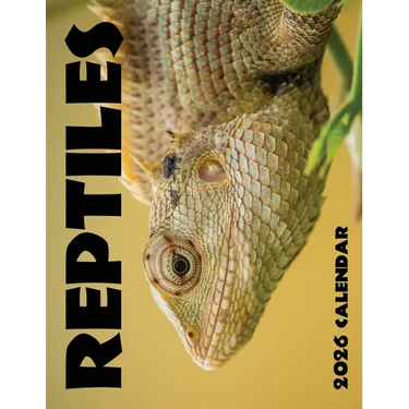 Reptiles 2026 Calendar