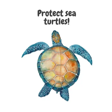 Protect sea turtles!