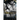 Omission: Part Two