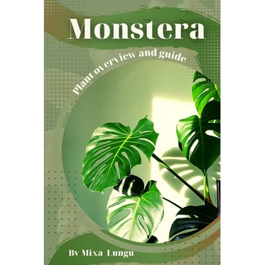 Monstera: Plant overview and guide