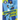 Manchester City FC