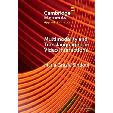 Multimodality and Translanguaging in Video Interactions