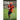 114 Youth Football Plays