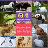 My first words Animal: Bilingual (Tibetan and English)
