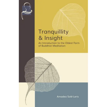 Tranquillity & Insight: An Introduction to the Oldest Form of Buddhist Meditation