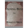 The Miracle Drug - Crystal Meth / English & German Edition