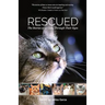 Rescued: The Stories of 12 Cats, Through Their Eyes