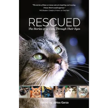 Rescued: The Stories of 12 Cats, Through Their Eyes