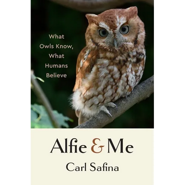 Alfie and Me: What Owls Know, What Humans Believe