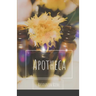 Apotheca