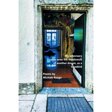 My adversary came onto the windowsill of another dream, as a bluebird