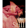 Still Life: Photographs & Love Stories